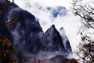 山城脈動 周衡義鏡頭下的重慶瞬間